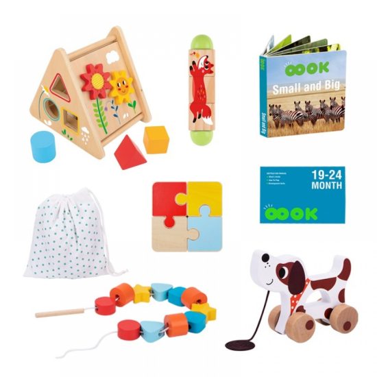 Ξύλινο Σετ Εκμάθησης ТК753 Montessori Educational Box 6972633375739 18m+ - Tooky Toy